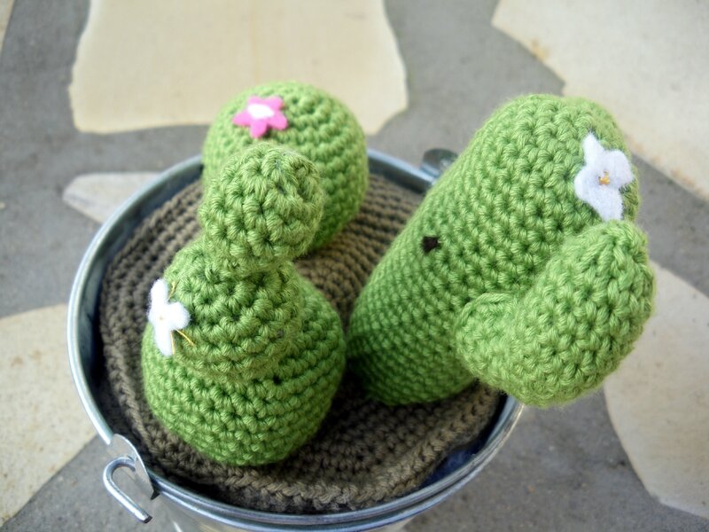 Cactus crochet (9)
