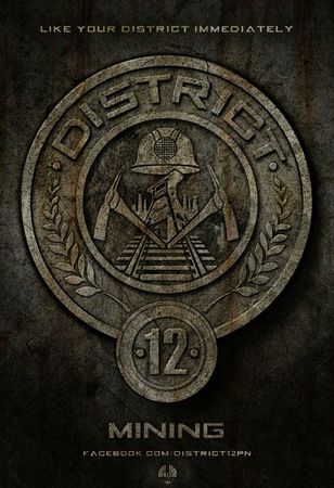 Hunger-Games-affiche-District-12