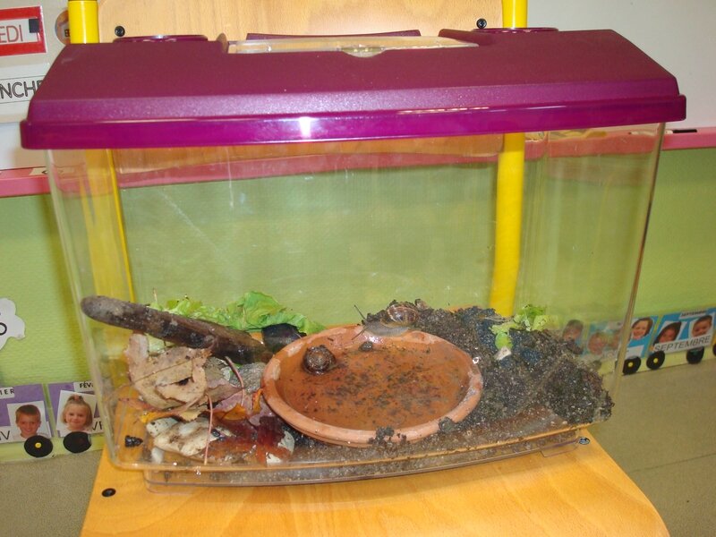 escargots 2009 (9)