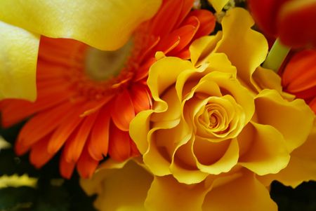 flower_bouquet_00168