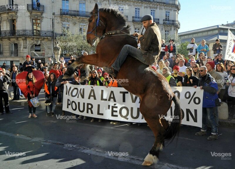 manifestation-a-montpellier-mardi-contre-la-hausse-de-la-tva-sur-les-centres-equestres-photo-afp-1433508674