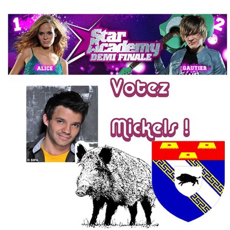 votez_mickels