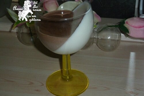 Panna cotta choco coco 10