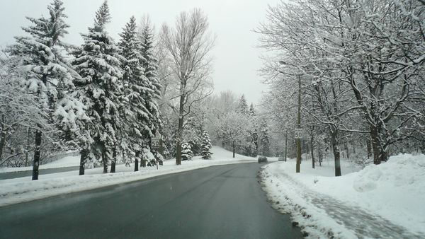 canada 096