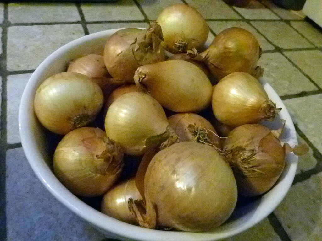 COUPER LES OIGNONS SANS PLEURER AU MICRO ONDE La table des Joyeux