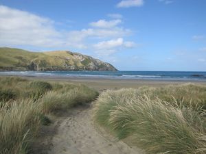 The Catlins (55)