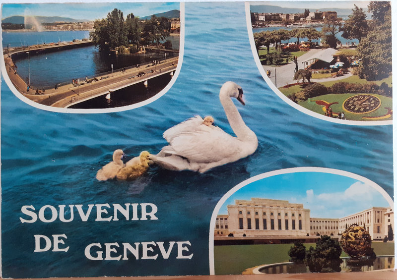 00 999 Suisse - Genève 1 - vierge