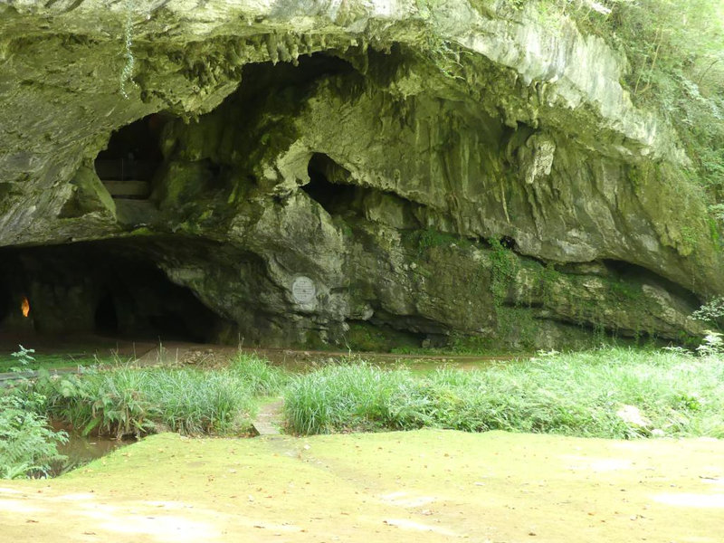 P1110274