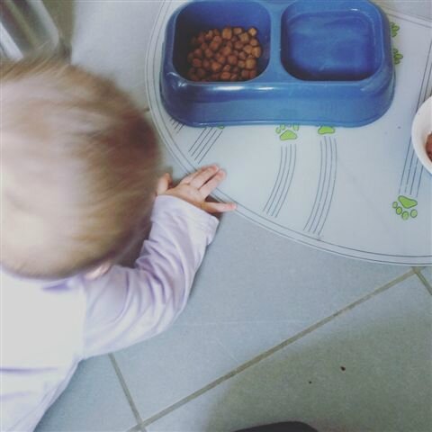 Tiens, c'est quoi ce truc ? ©Kid Friendly