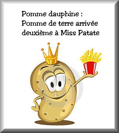 definition19 pomme dauphine