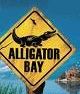 alligator