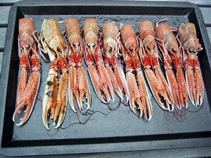 langoustinesatay3