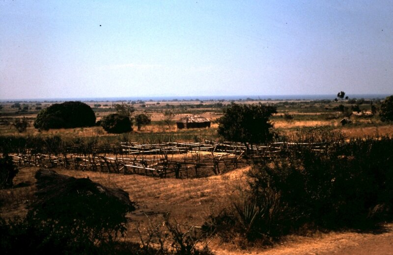 tanzanie 18