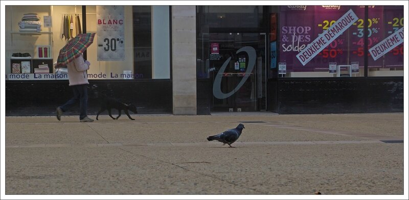 ville pigeon soldes 190114