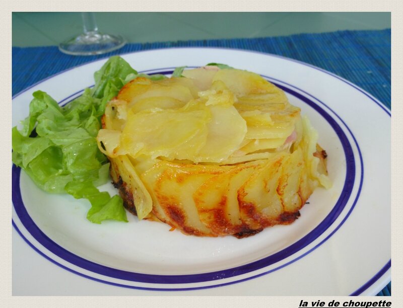 gateau de pommes de terre-9566