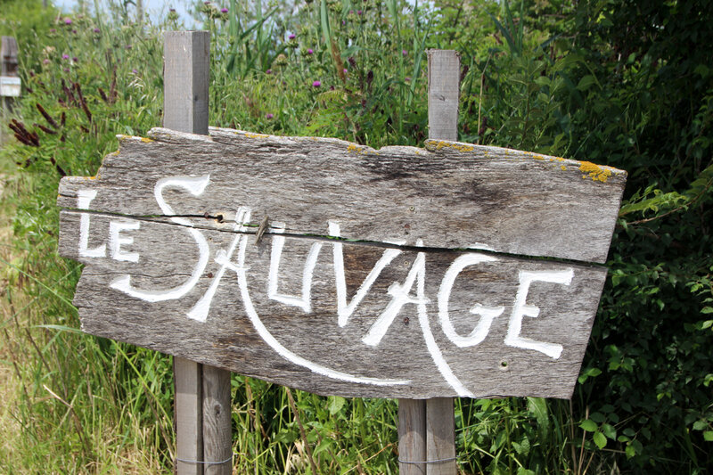 camargue_sauvage