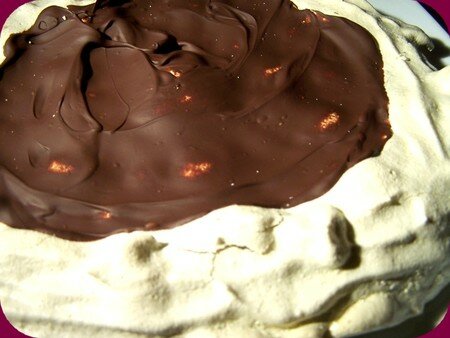 pavlova1