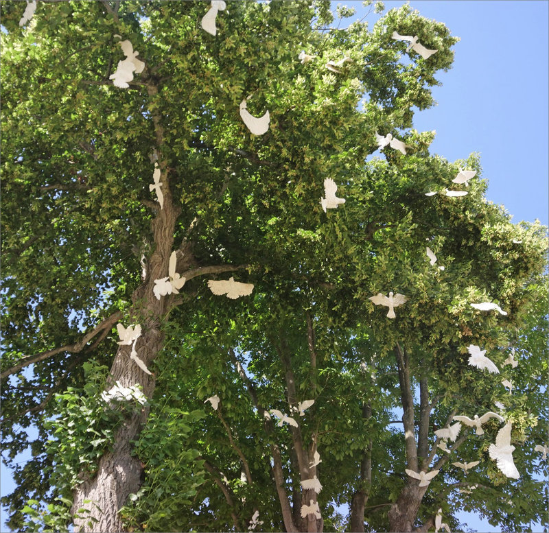 Oiseaux papier arbre 072021 1