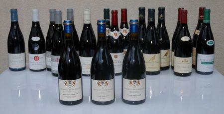 Vin_Bourgogne_NSG Liger Belair