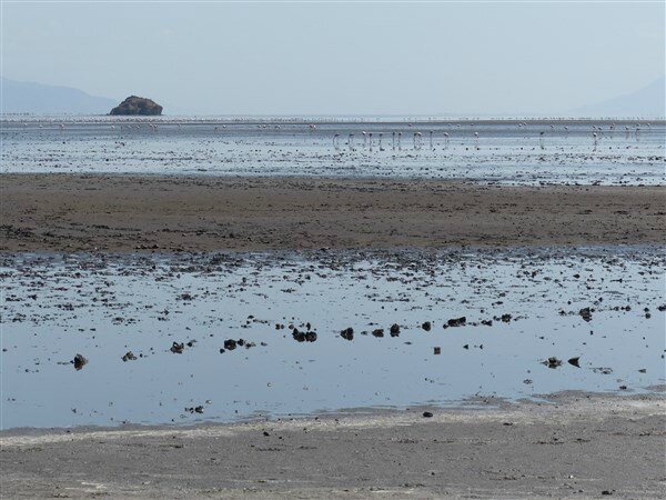 P1150259