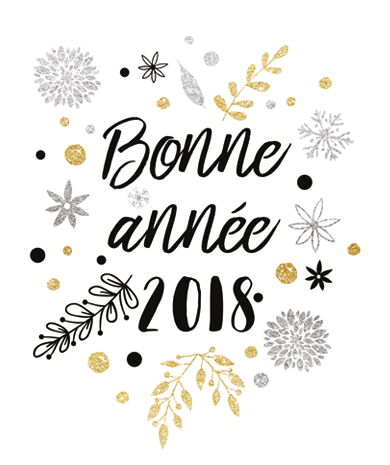 4849-Bonne annee sur fond blanc_maxi