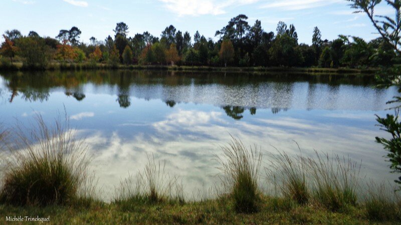 Etangs de Ste Foy et de Gaillères 151016