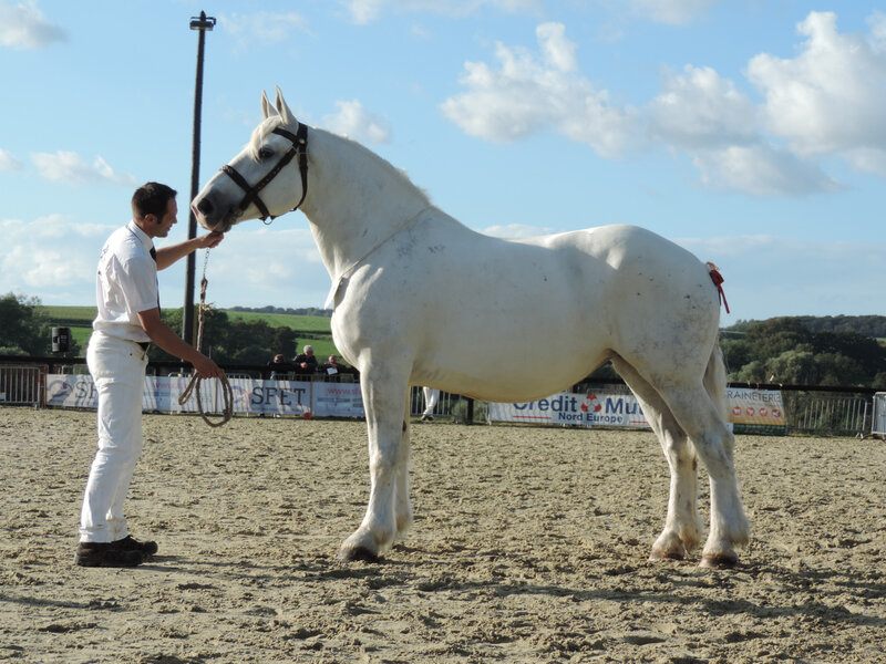 Azalée de Connection - 5 Septembre 2020 - National Boulonnais - Samer (62) - 7e (Non Suitées (6 à 18 ans))