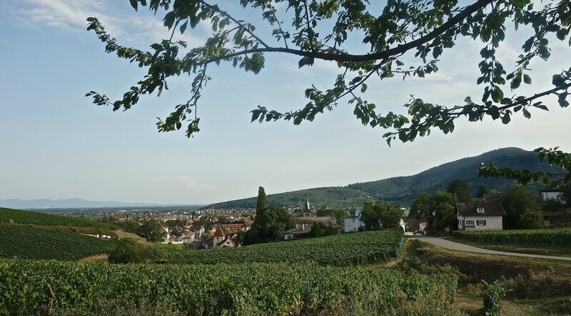 sur la route de Niedermorschwihr