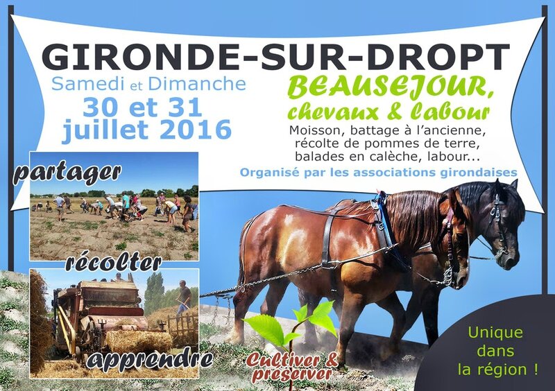 Gironde-sur-Dropt 30 et 31 juillet 2016 CHEVAUX et LABOURS