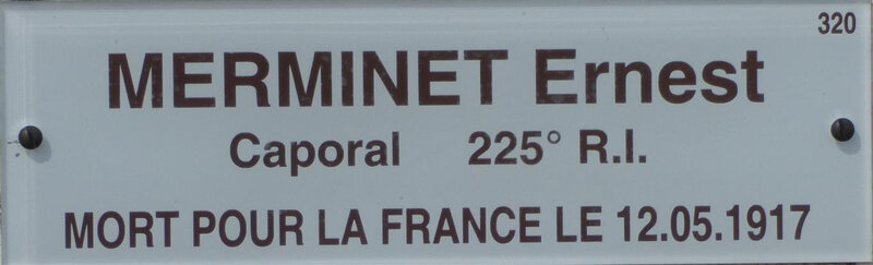 merminet ernest de buzançais (1) (Medium)