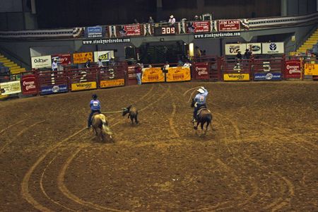 Rodeo_18