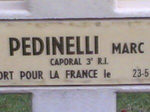 NDL_PEDNELLI_M