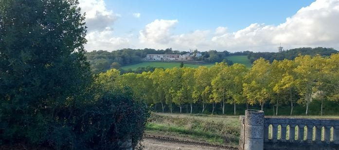 Lignan2
