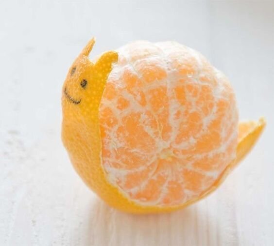 mandarine_escargot