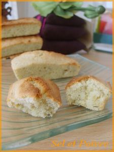 financier_tapenade