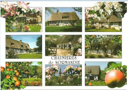 CARTE POSTALE NORMANDIE - LUCIENNE