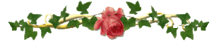 barre de roses