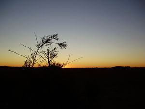 Desert_Maroc_Selection_097