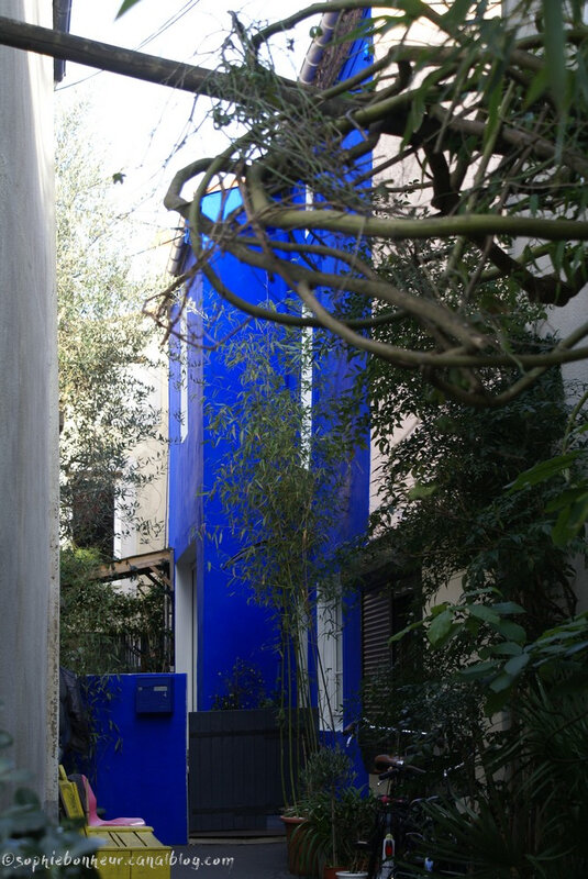 T bleu
