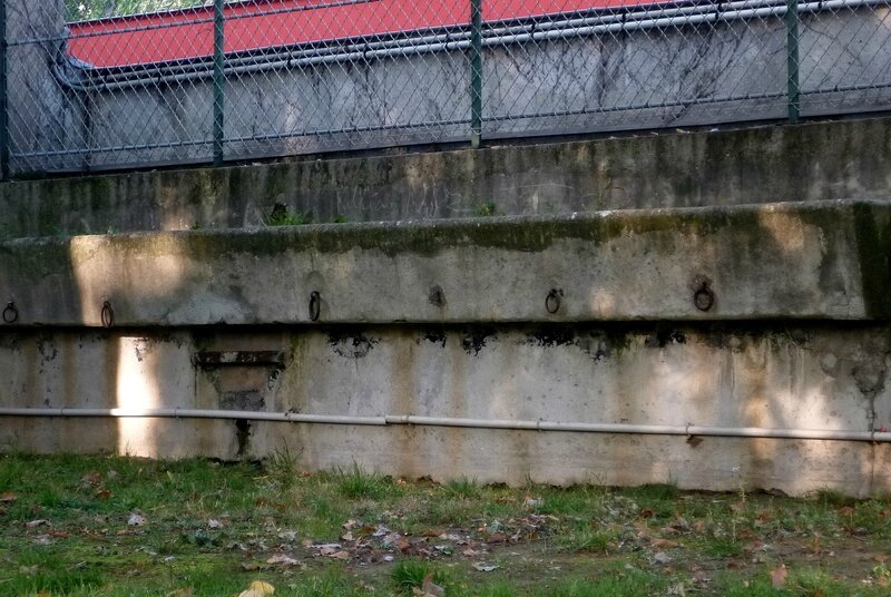 P1050603