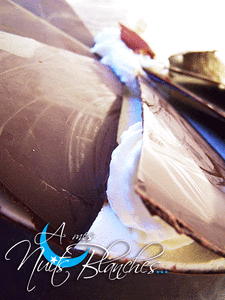 foret_noire15