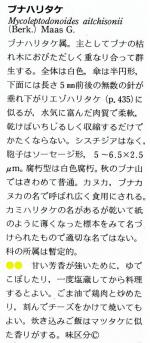Mycoleptodonoides aitchisonii_txt