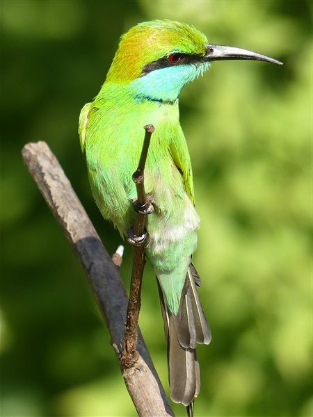 P1270655