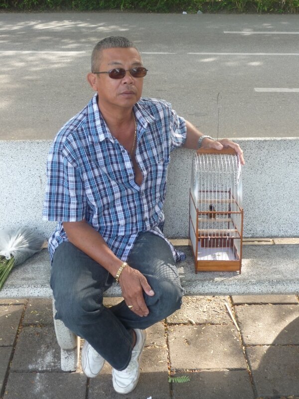 Concours de chant de pikolet