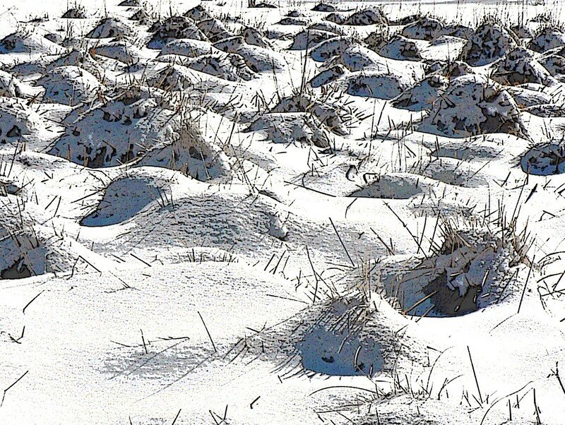 village endormi sous la neige