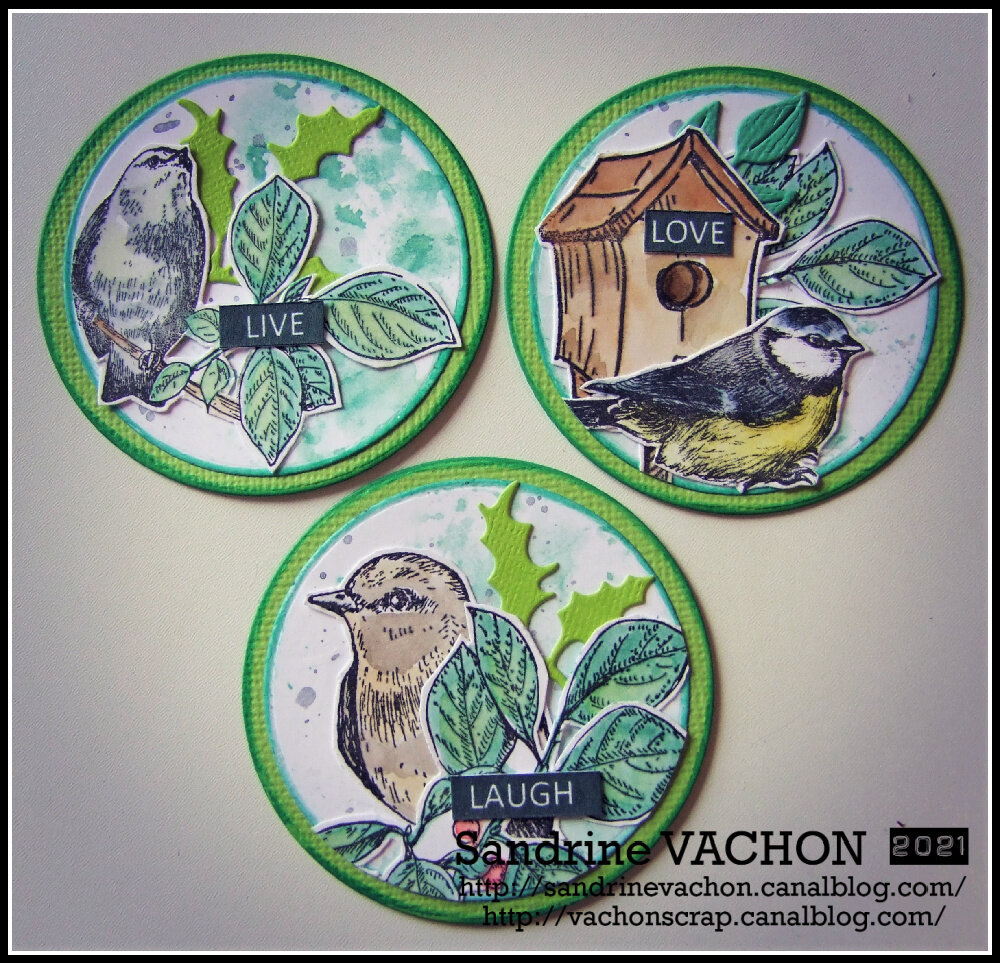 Sandrine VACHON ATC Janvier 2021 (1)
