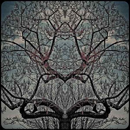 Decades_Daartam_Jollant