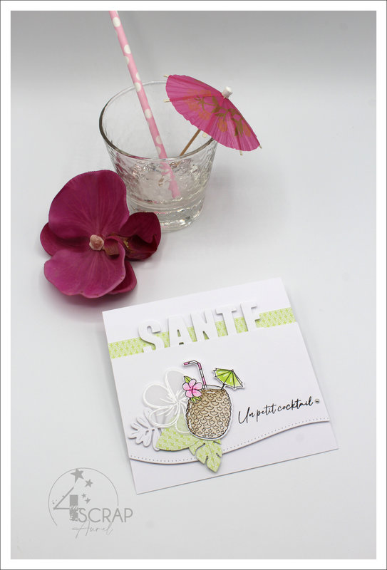 040522 - Cartes Cocktails - AP E22 - J5 #10