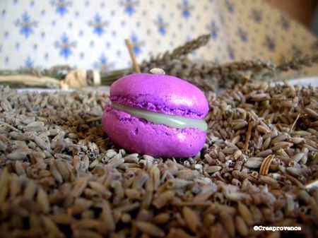 macaron_lavande