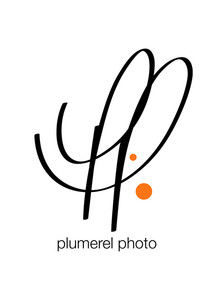 plumerel_photo_photo_et_video_photographe_de_mariage_10437996idjou_110